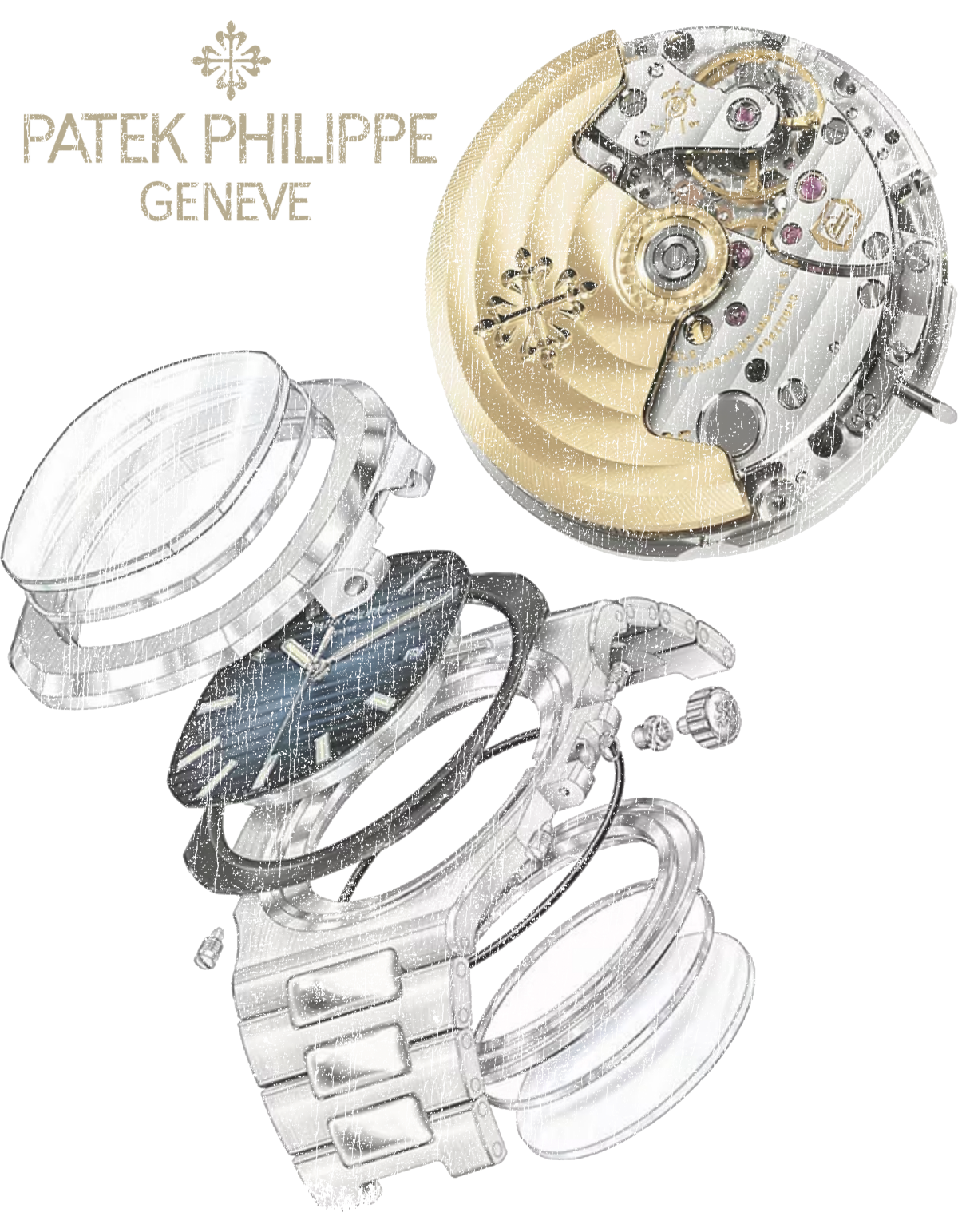 PATEKWHITEWASHEDHEAVY_BACK.png